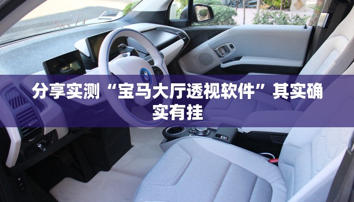 分享实测“宝马大厅透视软件”其实确实有挂