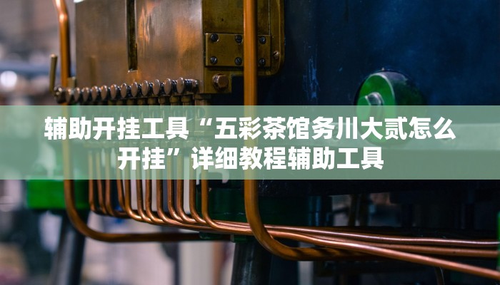 辅助开挂工具“五彩茶馆务川大贰怎么开挂”详细教程辅助工具