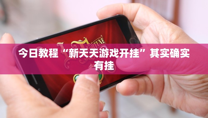 今日教程“新天天游戏开挂”其实确实有挂