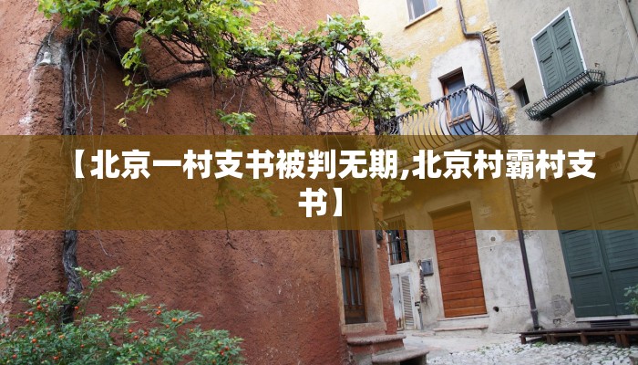 【北京一村支书被判无期,北京村霸村支书】