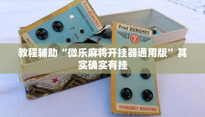 教程辅助“微乐麻将开挂器通用版”其实确实有挂