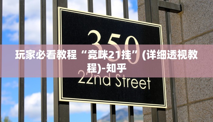 玩家必看教程“竞咪21挂”(详细透视教程)-知乎