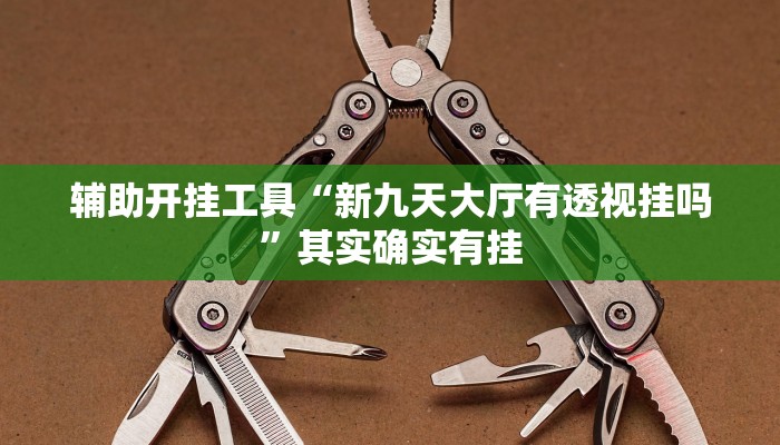 辅助开挂工具“新九天大厅有透视挂吗”其实确实有挂