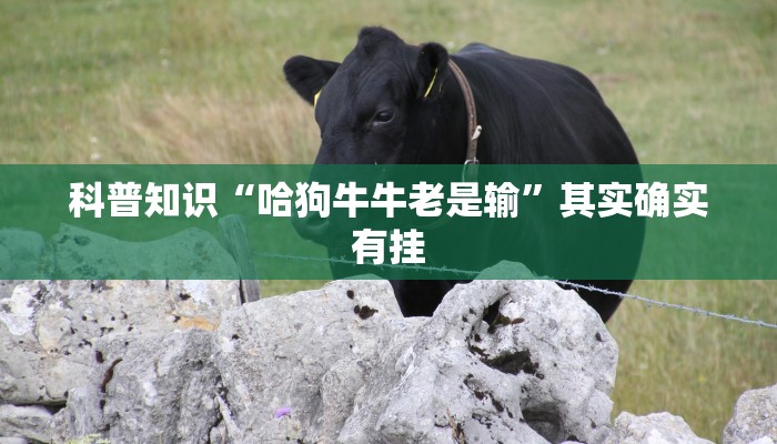 科普知识“哈狗牛牛老是输”其实确实有挂