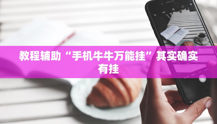 教程辅助“手机牛牛万能挂”其实确实有挂