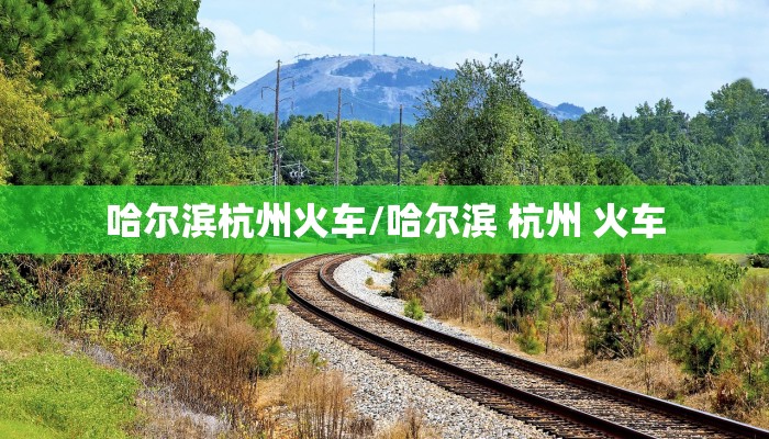 哈尔滨杭州火车/哈尔滨 杭州 火车
