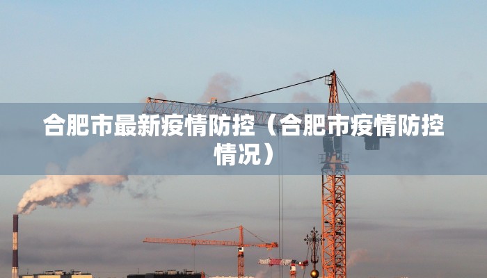 合肥市最新疫情防控（合肥市疫情防控情况）