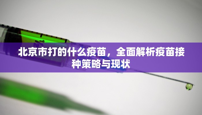 北京市打的什么疫苗，全面解析疫苗接种策略与现状